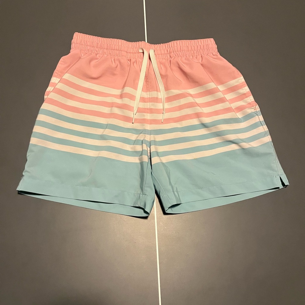 Colorful Chubbies Swim Shorts